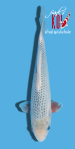 121